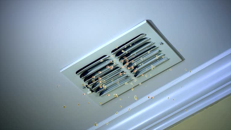 Best Affordable Duct Cleaning Services  in Hollister, CA